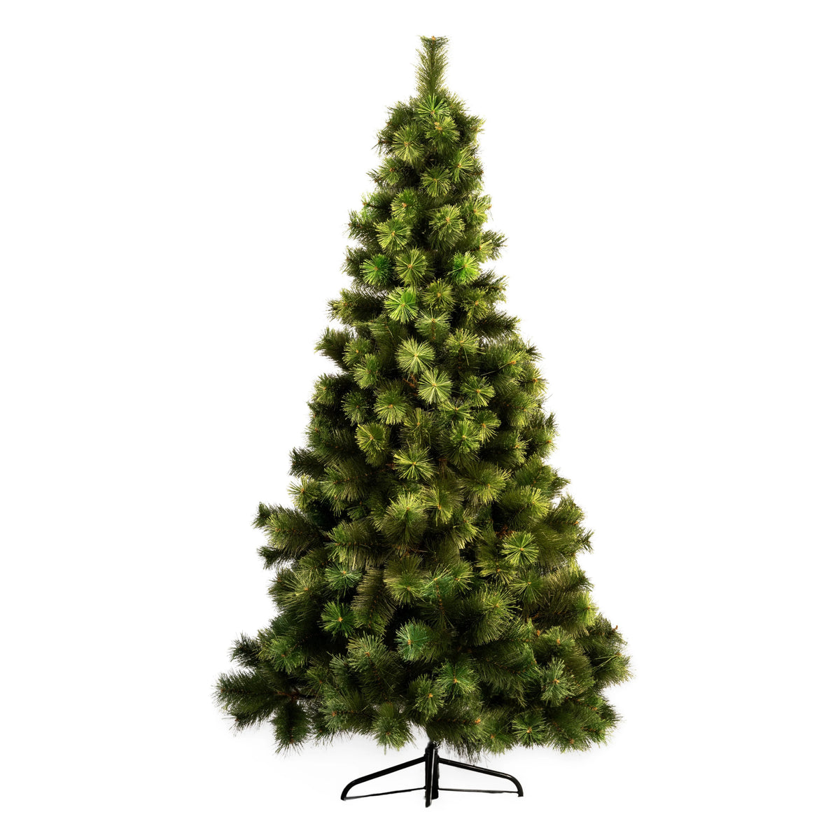 ÁRBOL NÁPOLES