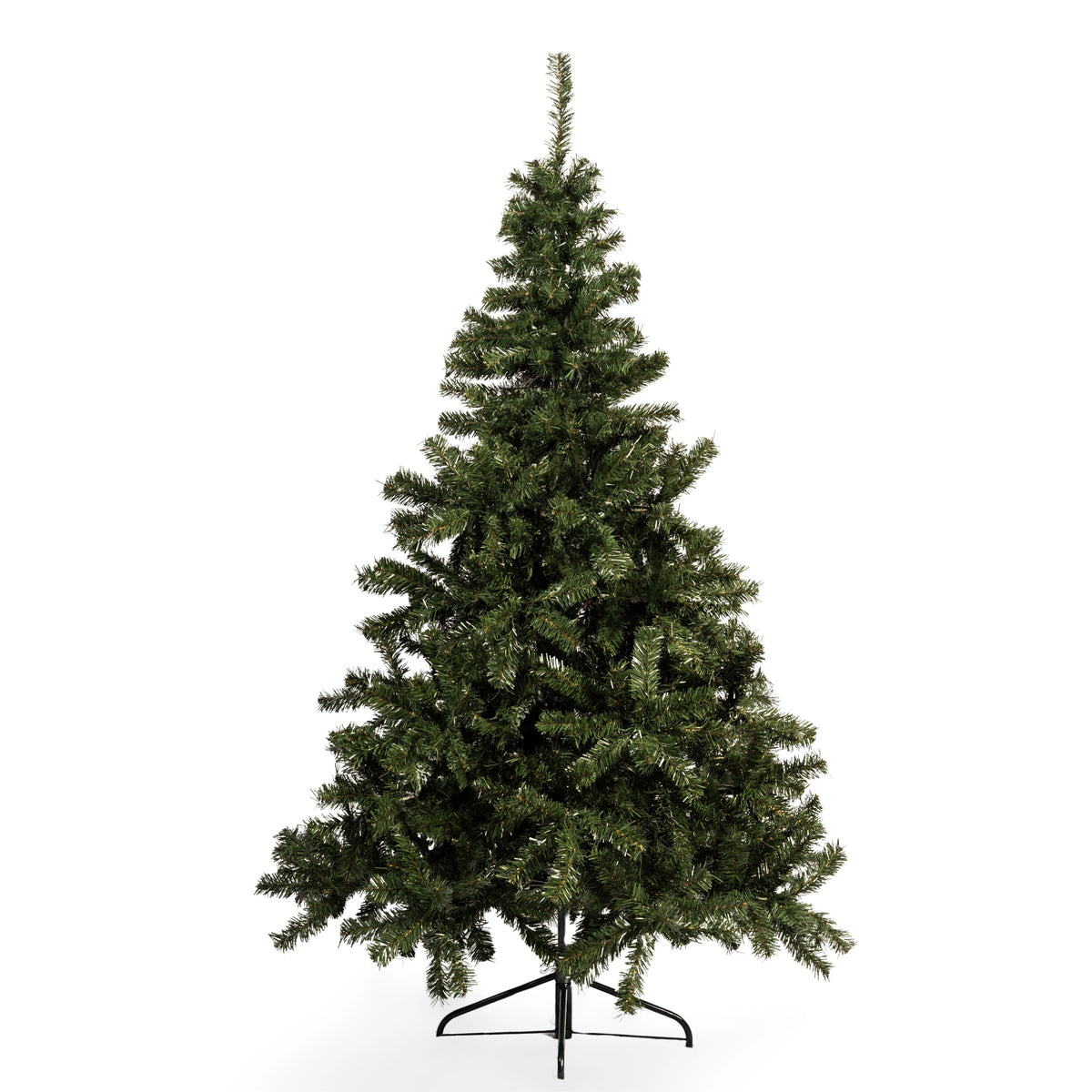 ÁRBOL ROMA