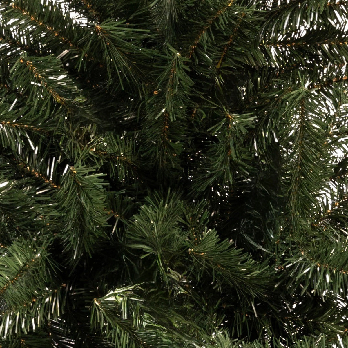 ÁRBOL DETROIT