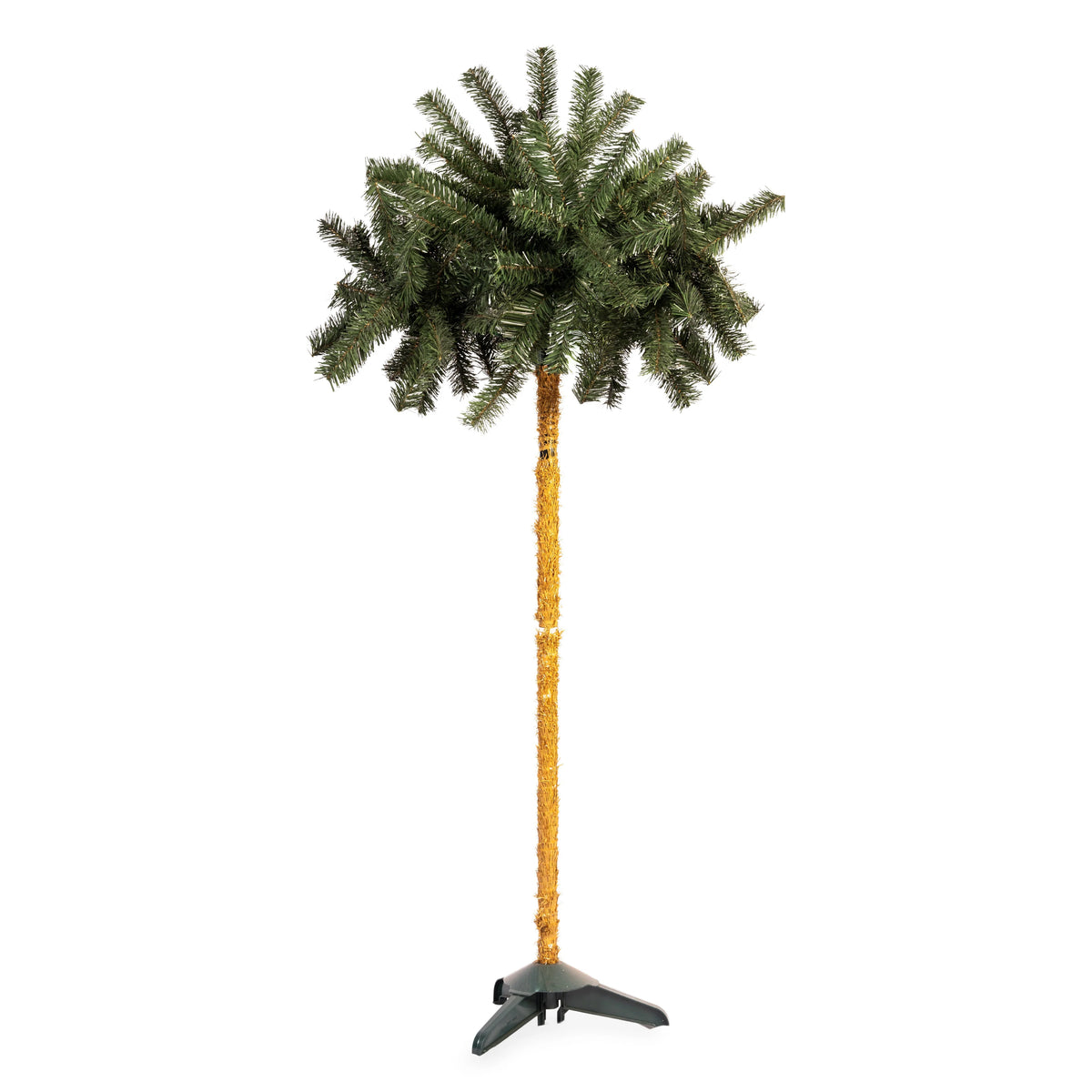 PALMA SAHARA