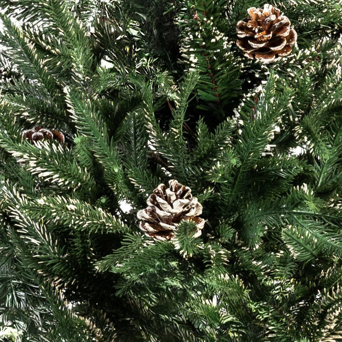 ÁRBOL SP2008