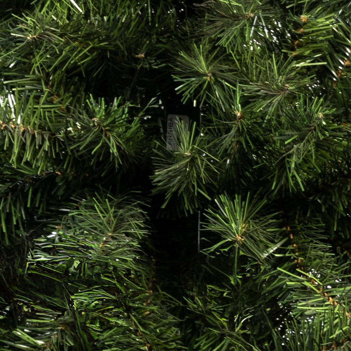 ÁRBOL PRINCIPE