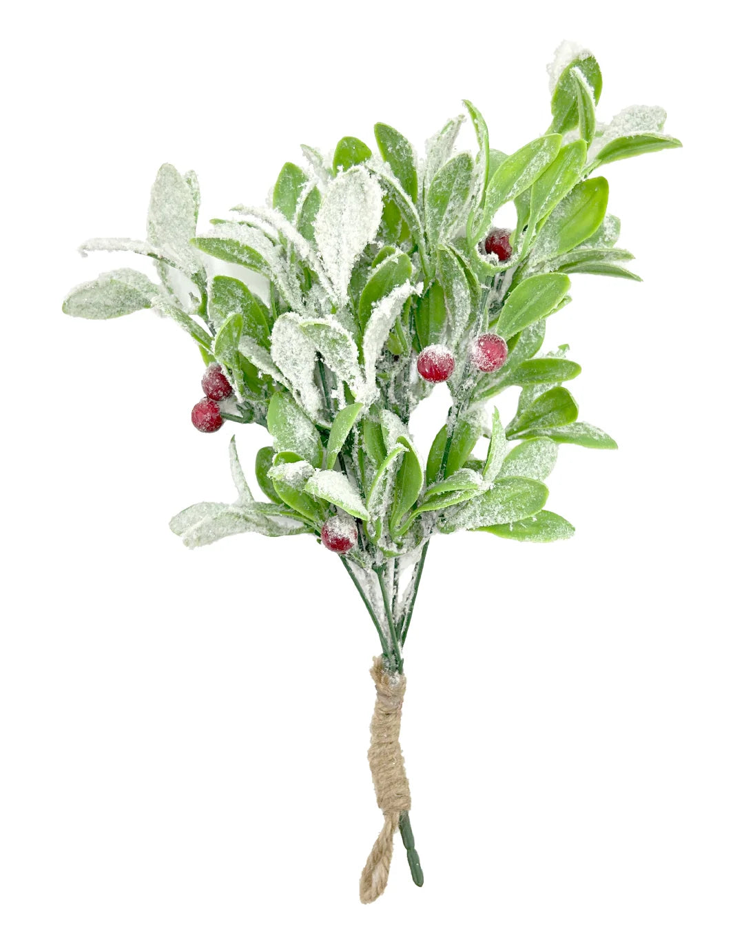 FOLLAJE BLANCO FRUTOS TYH201300