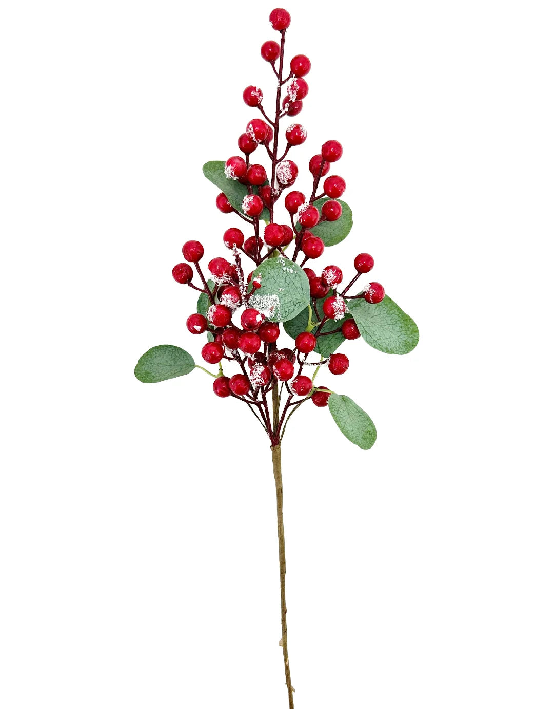 FOLLAJE FRUTOS ROJOS TYL22-19C