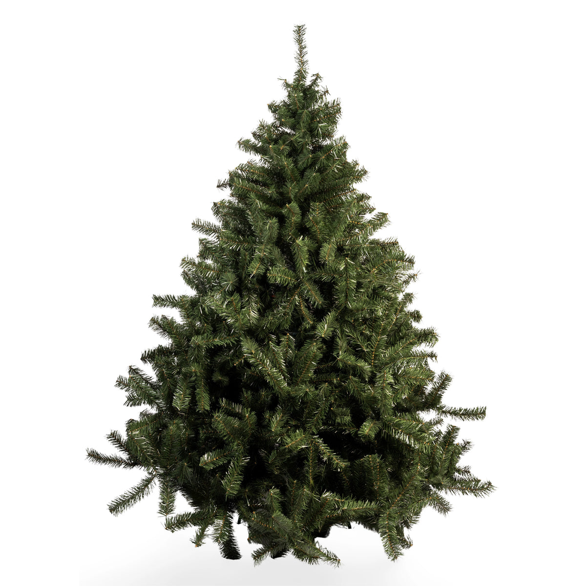 ÁRBOL IMPERIAL