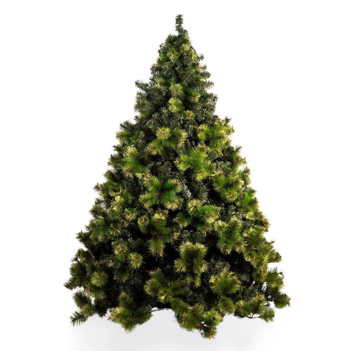 ÁRBOL SIBERIA