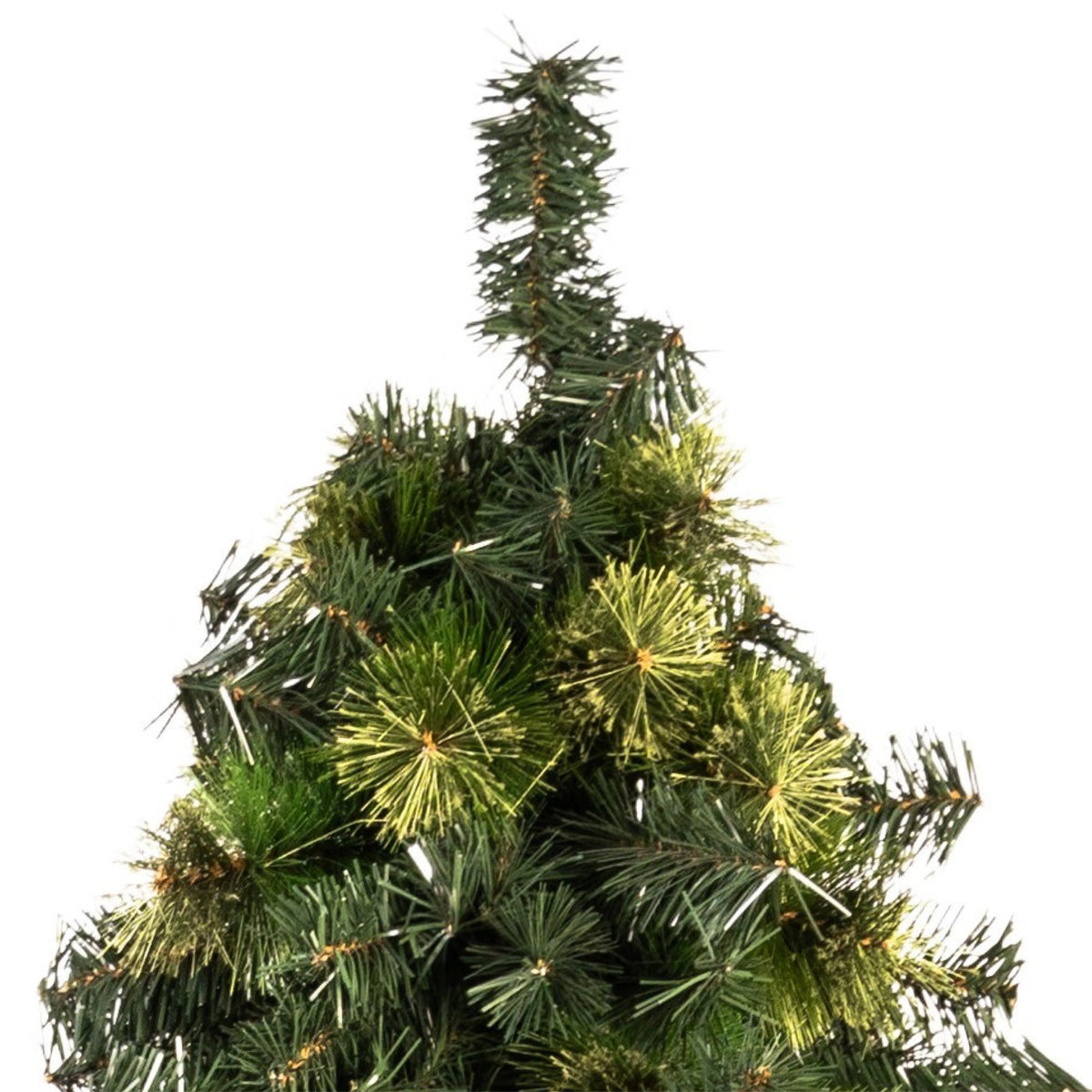 ÁRBOL SIBERIA