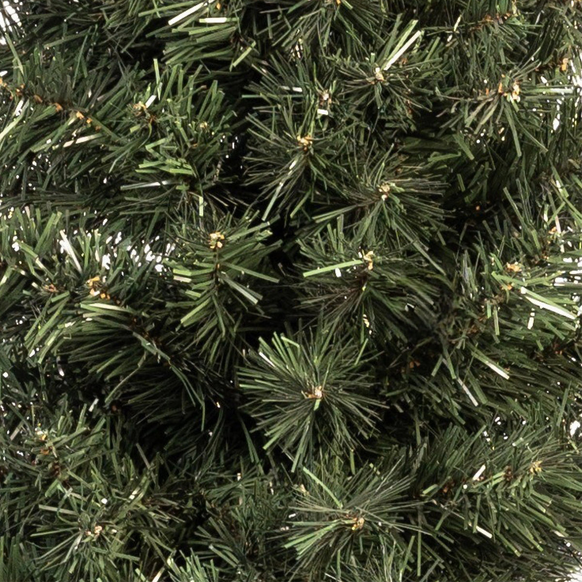 ÁRBOL VELA