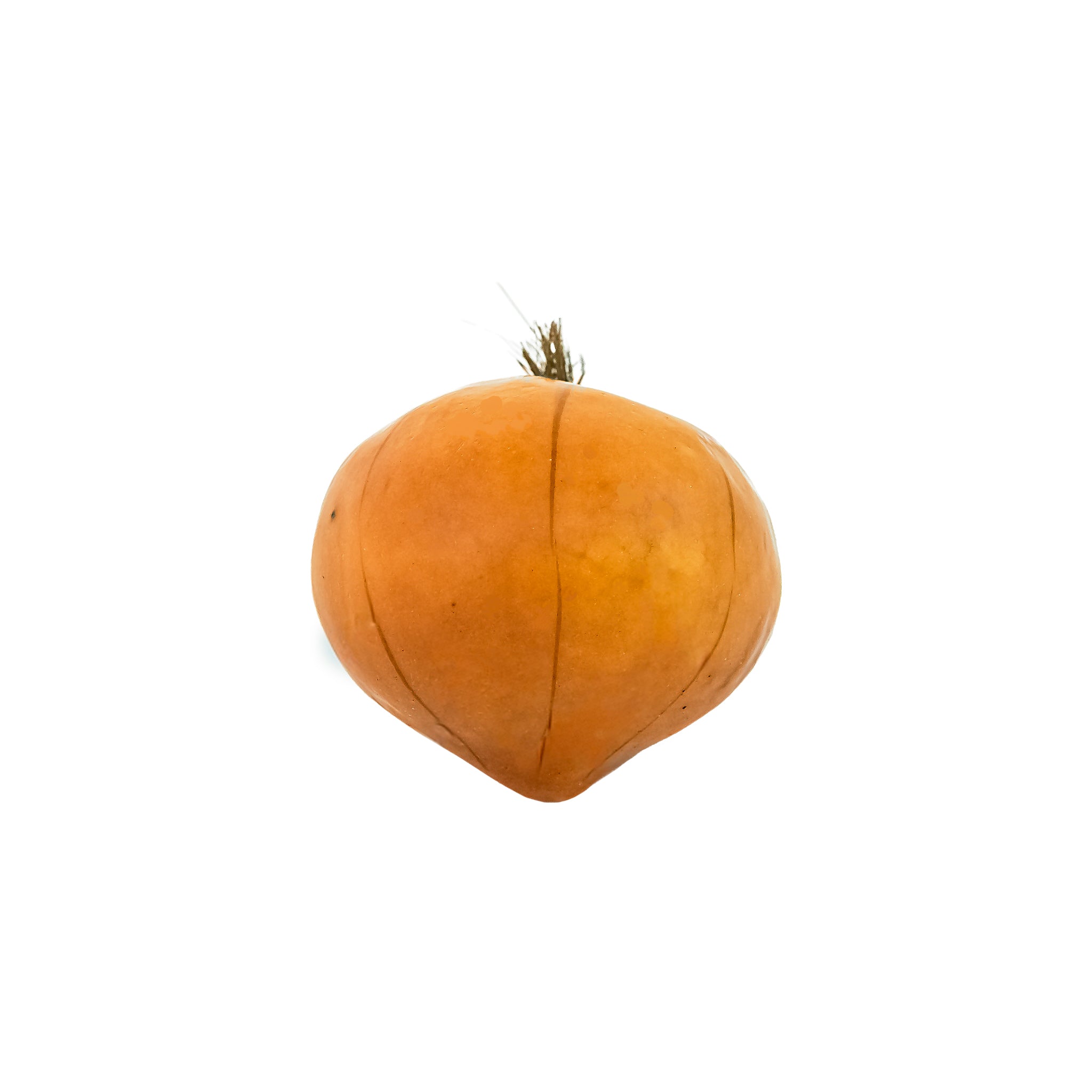 CEBOLLA BLANCA DECORATIVA REF. 48 (7 CM) - PAQUETE X 6 UNDS.