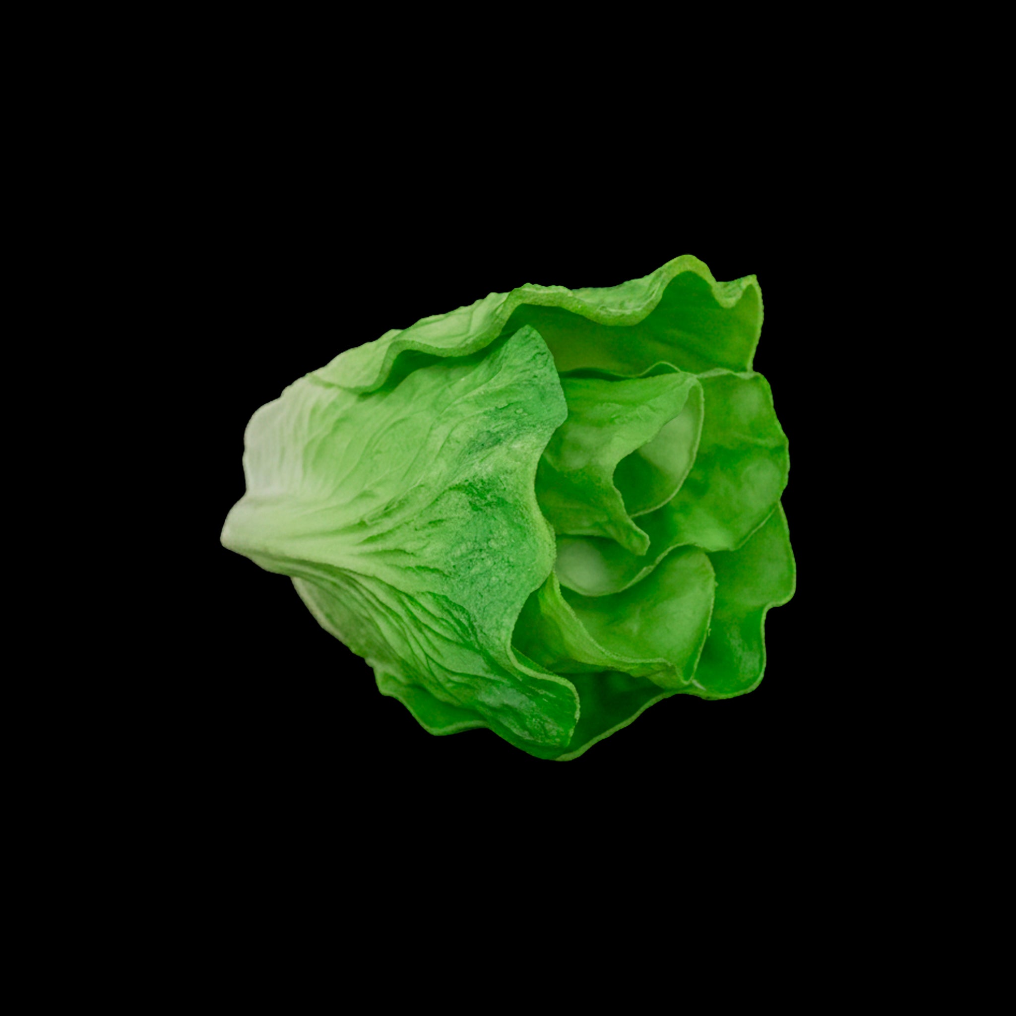 LECHUGA DECORATIVA REF. 18 (18 CM) - PAQUETE X 6 UNDS.