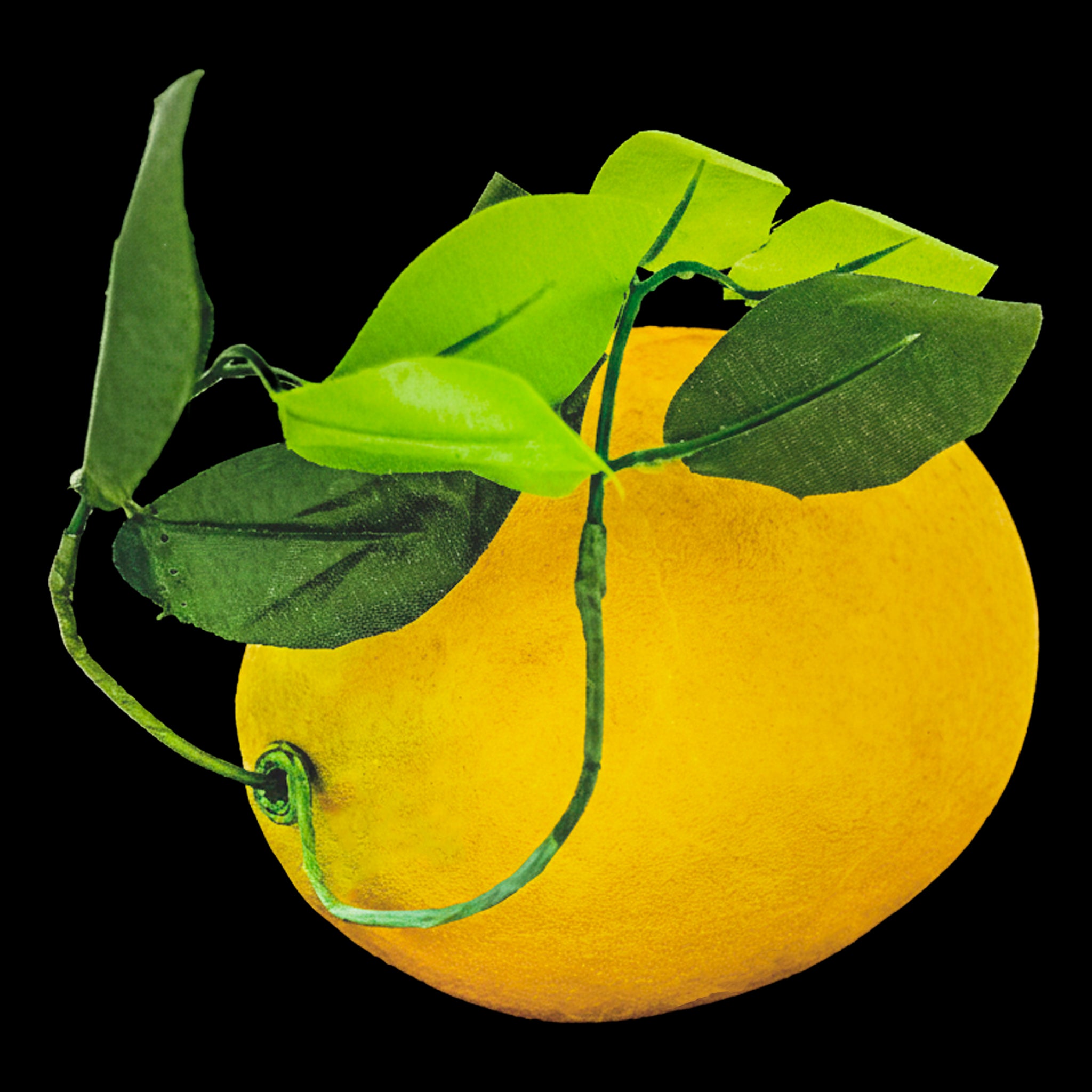 LIMÓN GIGANTE DECORATIVO REF. 70 (23 CM) - UNIDAD.