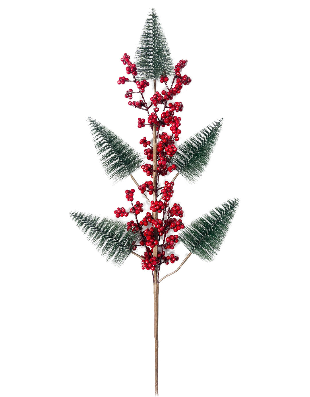 FOLLAJE FRUTICOS ARBOL TYLLA-168-1