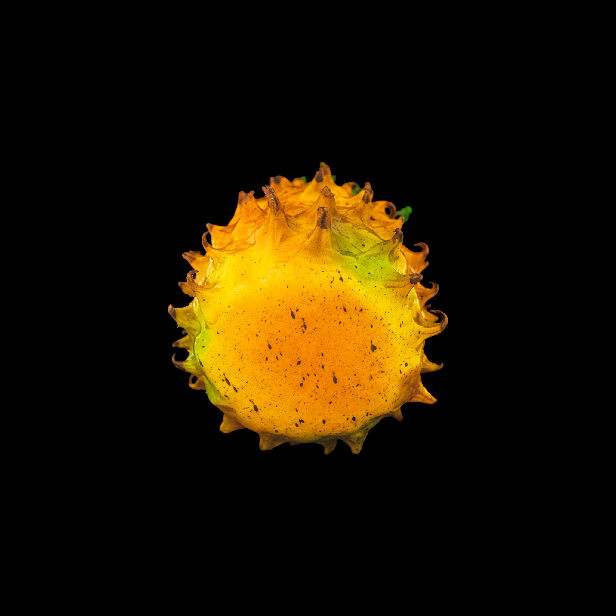 PIÑA PEQUEÑA DECORATIVA REF. 150 (20 CM) - UNIDAD.